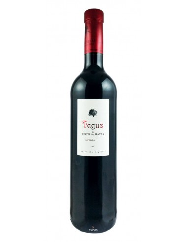Fagus de Coto de Hayas Tinto