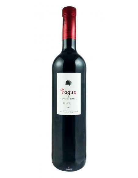 Fagus de Coto de Hayas Tinto