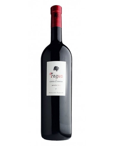 Fagus de Coto de Hayas Magnum 150 cl