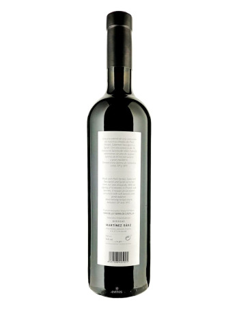 Martinez Sáez Selección 2